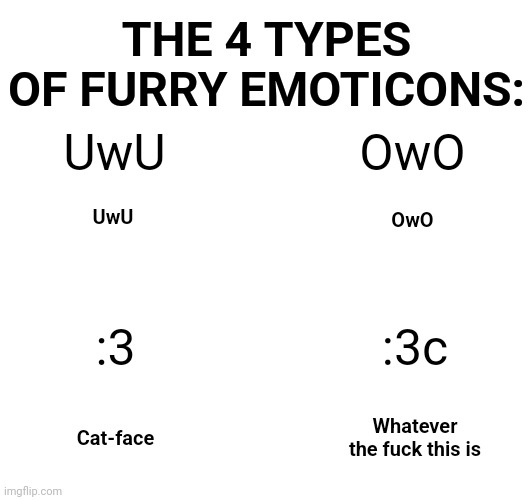 The 4 Types of Furry Emoticons | THE 4 TYPES OF FURRY EMOTICONS:; UwU; OwO; UwU; OwO; :3; :3c; Cat-face; Whatever the fuck this is | image tagged in furry,funny,memes,emoticons | made w/ Imgflip meme maker