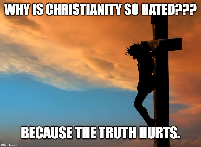 Repent, turn to christ | WHY IS CHRISTIANITY SO HATED??? BECAUSE THE TRUTH HURTS. | image tagged in christ,love | made w/ Imgflip meme maker