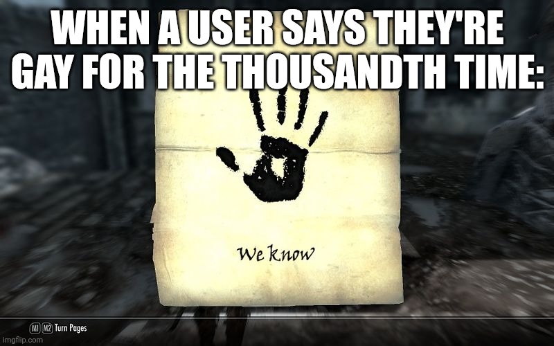 skyrim: We know | WHEN A USER SAYS THEY'RE GAY FOR THE THOUSANDTH TIME: | image tagged in skyrim we know | made w/ Imgflip meme maker