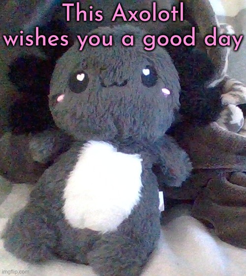 i had a photoshoot with my axolotl plushie | This Axolotl wishes you a good day | image tagged in axolotl,yep | made w/ Imgflip meme maker