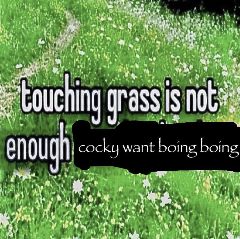 TOUCH GRASS Blank Meme Template