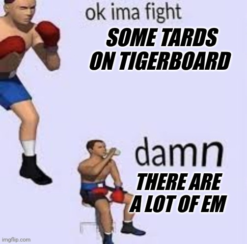 Ok ima fight | SOME TARDS ON TIGERBOARD; THERE ARE A LOT OF EM | image tagged in ok ima fight | made w/ Imgflip meme maker