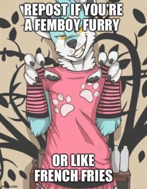 For me it's both, plus this is not my meme, i found it, credits go here: https://bsky.app/profile/goodguyzek.gay | image tagged in furry femboys,furry,french fries | made w/ Imgflip meme maker