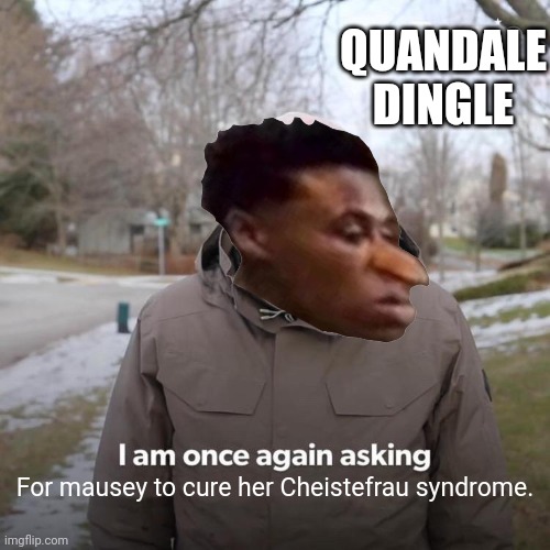 "Mau5ey should cure her Cheistefrau syndrome!" said Quandale Dingle | QUANDALE DINGLE; For mausey to cure her Cheistefrau syndrome. | image tagged in memes,bernie i am once again asking for your support | made w/ Imgflip meme maker