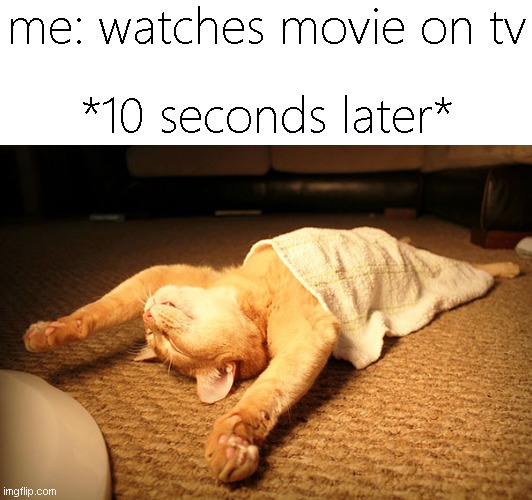 real | me: watches movie on tv; *10 seconds later* | image tagged in memes,funny,cats,movie,sleep,10 seconds | made w/ Imgflip meme maker