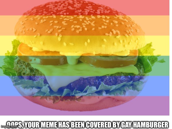 Gay Burger ?? | OOPS, YOUR MEME HAS BEEN COVERED BY GAY HAMBURGER | image tagged in cursed image,gay,gays | made w/ Imgflip meme maker
