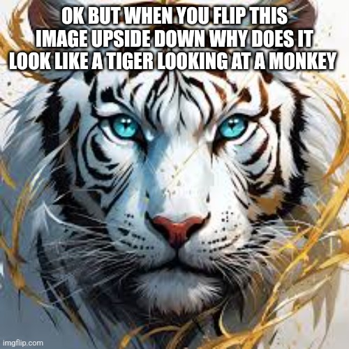 Bro how tho | OK BUT WHEN YOU FLIP THIS IMAGE UPSIDE DOWN WHY DOES IT LOOK LIKE A TIGER LOOKING AT A MONKEY | image tagged in memes,funny,sigma | made w/ Imgflip meme maker