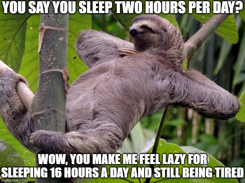 MF'ers out there making me feel lazy | YOU SAY YOU SLEEP TWO HOURS PER DAY? WOW, YOU MAKE ME FEEL LAZY FOR SLEEPING 16 HOURS A DAY AND STILL BEING TIRED | image tagged in lazy sloth,lazy,sleep | made w/ Imgflip meme maker