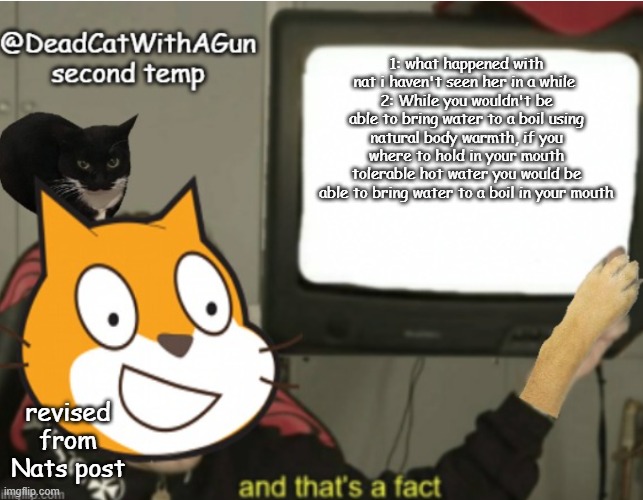 but hey, its just a theory. a WATER THEORY!!!!!!! | 1: what happened with nat i haven't seen her in a while 
2: While you wouldn't be able to bring water to a boil using natural body warmth, if you where to hold in your mouth tolerable hot water you would be able to bring water to a boil in your mouth; revised from Nats post | image tagged in deadcatwithagun announcement temp 2 | made w/ Imgflip meme maker