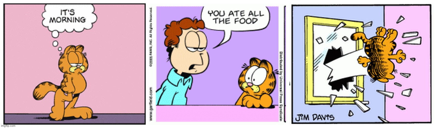 Garfield founds out that there's no food | image tagged in funny,memes,garfield | made w/ Imgflip meme maker