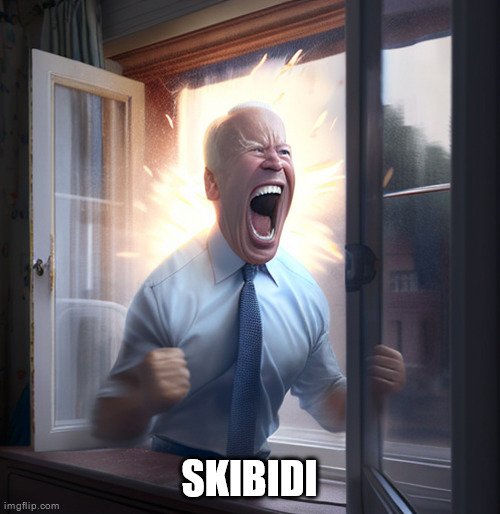 joe biden yelling | SKIBIDI | image tagged in joe biden yelling | made w/ Imgflip meme maker