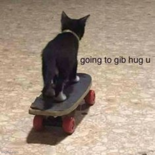 going to gib hug u | image tagged in going to gib hug u | made w/ Imgflip meme maker
