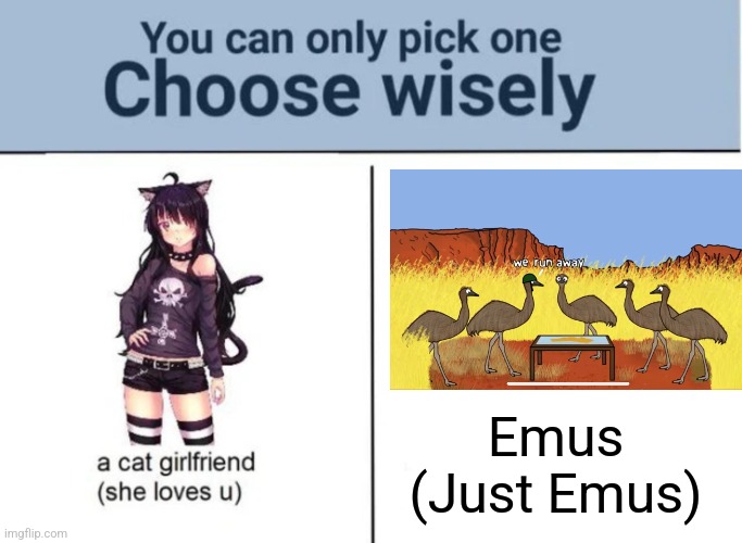 Just emus | Emus
(Just Emus) | image tagged in choose wisely,oversimplified,funny memes,memes,jpfan102504 | made w/ Imgflip meme maker