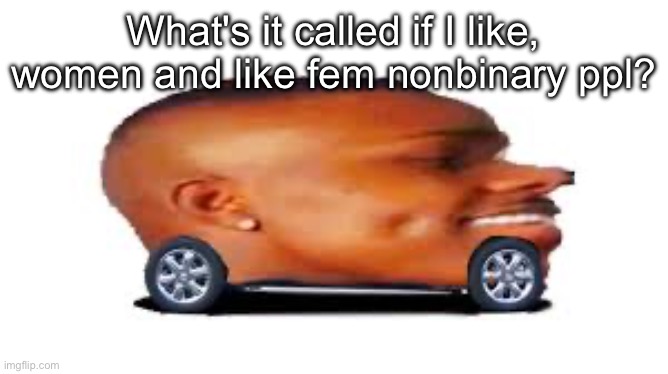 Have both a shitpost and a genuine question | What's it called if I like, women and like fem nonbinary ppl? | image tagged in dababy car | made w/ Imgflip meme maker