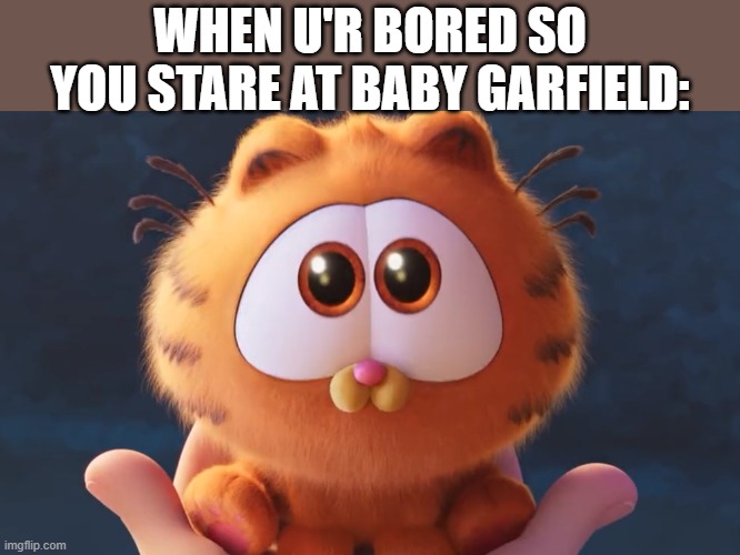 Can't resist this sweet face!!!!!!!!!!!!! | WHEN U'R BORED SO YOU STARE AT BABY GARFIELD: | image tagged in fun,funny,garfield,cute | made w/ Imgflip meme maker