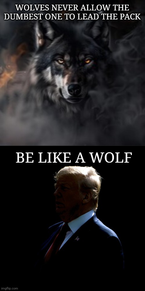WOLVES NEVER ALLOW THE DUMBEST ONE TO LEAD THE PACK; BE LIKE A WOLF | made w/ Imgflip meme maker