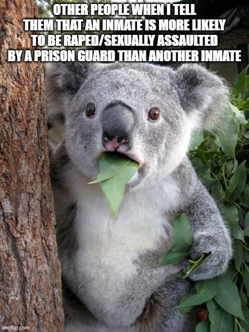 It will surprise you how common that is | OTHER PEOPLE WHEN I TELL THEM THAT AN INMATE IS MORE LIKELY TO BE RAPED/SEXUALLY ASSAULTED BY A PRISON GUARD THAN ANOTHER INMATE | image tagged in memes,surprised koala,prison,leftist,rape,sexual assault | made w/ Imgflip meme maker