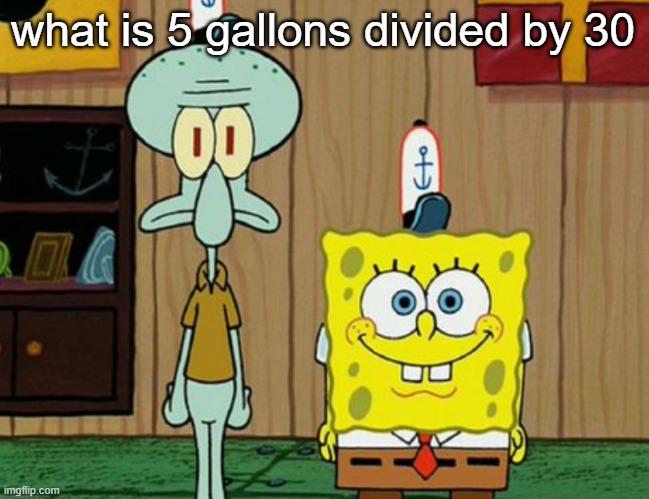 squidward and spogbob | what is 5 gallons divided by 30 | image tagged in squidward and spogbob | made w/ Imgflip meme maker