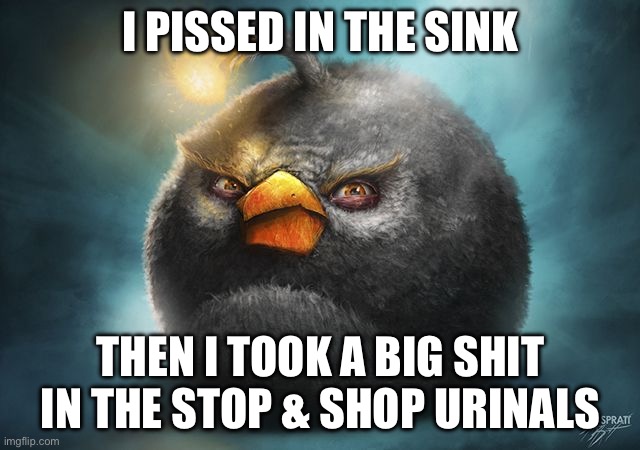 angry birds bomb | I PISSED IN THE SINK; THEN I TOOK A BIG SHIT IN THE STOP & SHOP URINALS | image tagged in angry birds bomb | made w/ Imgflip meme maker