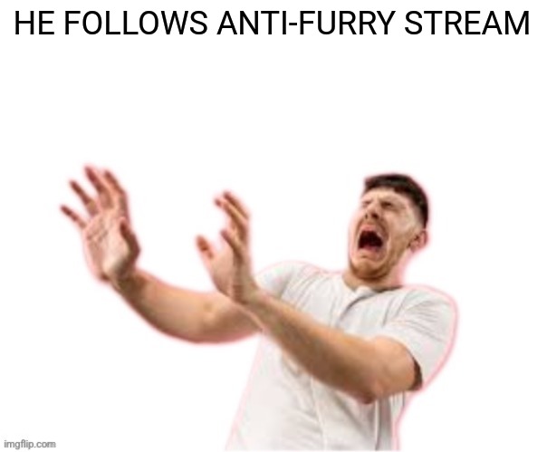 he left all caps on(custom) | HE FOLLOWS ANTI-FURRY STREAM | image tagged in he left all caps on custom | made w/ Imgflip meme maker