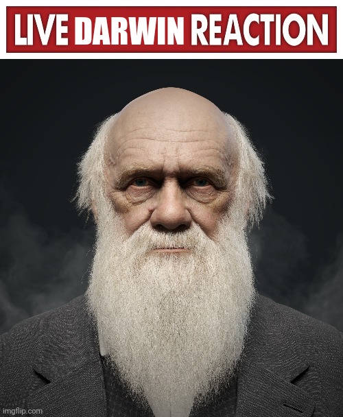 DARWIN | image tagged in live x reaction | made w/ Imgflip meme maker