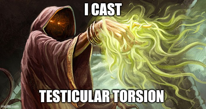 I cast | I CAST TESTICULAR TORSION | image tagged in i cast | made w/ Imgflip meme maker