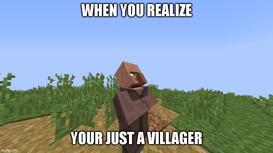 Villager | WHEN YOU REALIZE; YOUR JUST A VILLAGER | image tagged in staring up | made w/ Imgflip meme maker