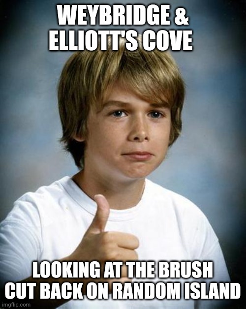 good luck gary | WEYBRIDGE & ELLIOTT'S COVE; LOOKING AT THE BRUSH CUT BACK ON RANDOM ISLAND | image tagged in good luck gary | made w/ Imgflip meme maker