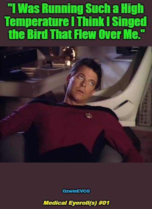Medical Eyeroll(s) #01 | "I Was Running Such a High 

Temperature I Think I Singed 

the Bird That Flew Over Me."; OzwinEVCG; Medical Eyeroll(s) #01 | image tagged in face you make,diagnosis,one flu over the cuckoo,annoying riker,angry birds,thinking | made w/ Imgflip meme maker