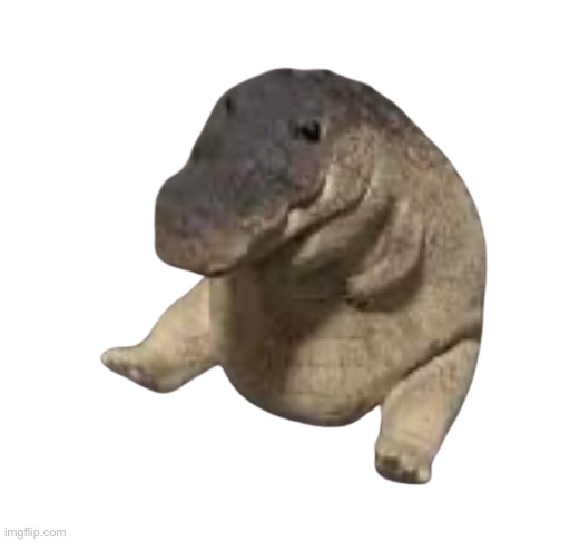 fat fuck | image tagged in fat fuck | made w/ Imgflip meme maker