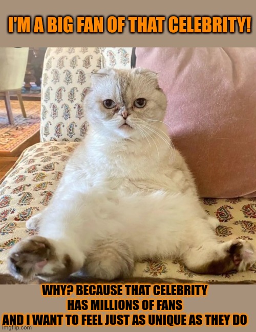 This #lolcat wonders why hoo-mens worship celebrities | I'M A BIG FAN OF THAT CELEBRITY! WHY? BECAUSE THAT CELEBRITY 
HAS MILLIONS OF FANS 
AND I WANT TO FEEL JUST AS UNIQUE AS THEY DO | image tagged in celebrities,lolcat,famous,think about it | made w/ Imgflip meme maker