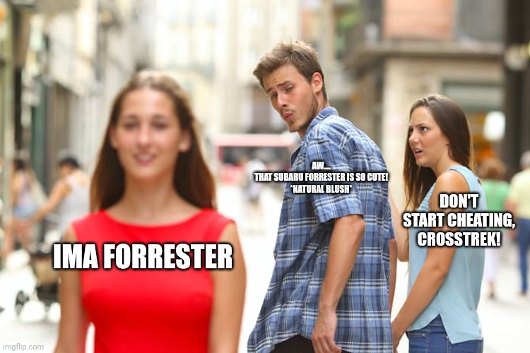 Crosstrek wants to cheat on Forrester | AW....
THAT SUBARU FORRESTER IS SO CUTE!
*NATURAL BLUSH*; DON'T START CHEATING, CROSSTREK! IMA FORRESTER | image tagged in memes,distracted boyfriend | made w/ Imgflip meme maker