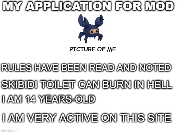 my application | MY APPLICATION FOR MOD; PICTURE OF ME; RULES HAVE BEEN READ AND NOTED; SKIBIDI TOILET CAN BURN IN HELL; I AM 14 YEARS-OLD; I AM VERY ACTIVE ON THIS SITE | image tagged in mod | made w/ Imgflip meme maker