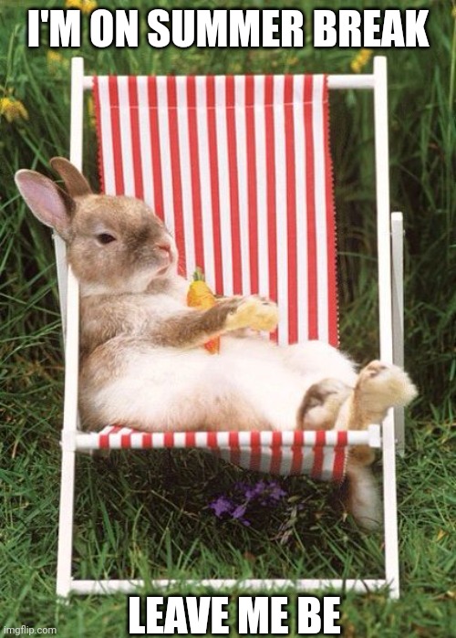 BUNNY JUST WANTS TO REST | I'M ON SUMMER BREAK; LEAVE ME BE | image tagged in bunny,rabbit | made w/ Imgflip meme maker