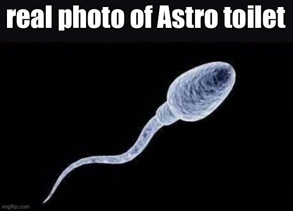 taken yesterday | real photo of Astro toilet | image tagged in da sperm | made w/ Imgflip meme maker