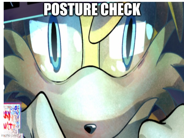 Posture check | POSTURE CHECK | image tagged in tails | made w/ Imgflip meme maker