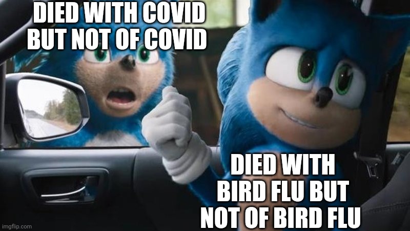 All over again | DIED WITH COVID BUT NOT OF COVID; DIED WITH BIRD FLU BUT NOT OF BIRD FLU | image tagged in sonic movie old vs new | made w/ Imgflip meme maker