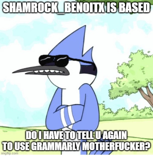 mordecai regular show shades lame | SHAMROCK_BENOITX IS BASED DO I HAVE TO TELL U AGAIN TO USE GRAMMARLY MOTHERFUCKER? | image tagged in mordecai regular show shades lame | made w/ Imgflip meme maker