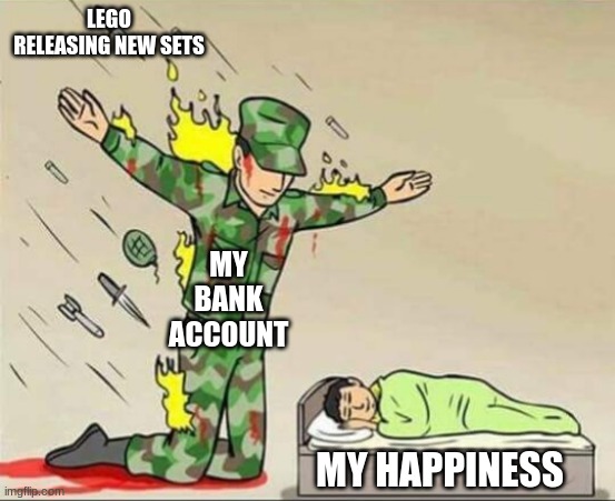 Soldier protecting sleeping child | LEGO RELEASING NEW SETS; MY BANK ACCOUNT; MY HAPPINESS | image tagged in soldier protecting sleeping child | made w/ Imgflip meme maker