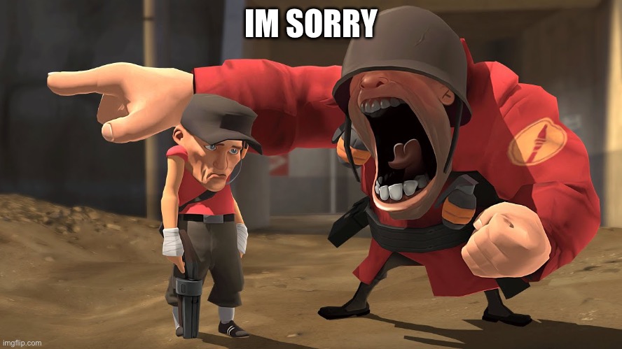IM SORRY SOLDIER | IM SORRY | image tagged in im sorry soldier | made w/ Imgflip meme maker