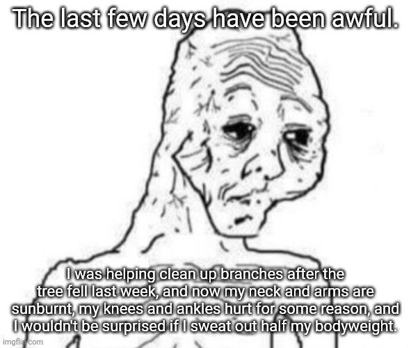 Everything's off the roof except the branch that's through the roof because insurance needs to see that | The last few days have been awful. I was helping clean up branches after the tree fell last week, and now my neck and arms are sunburnt, my knees and ankles hurt for some reason, and I wouldn't be surprised if I sweat out half my bodyweight. | image tagged in tired shriveled wojak | made w/ Imgflip meme maker