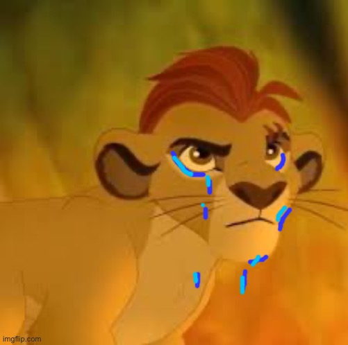 Kion crybaby | image tagged in kion crybaby | made w/ Imgflip meme maker