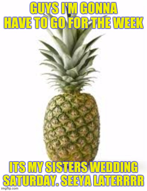 Sethamphetamine announcement temp | GUYS I'M GONNA HAVE TO GO FOR THE WEEK; ITS MY SISTERS WEDDING SATURDAY. SEEYA LATERRRR | image tagged in sethamphetamine announcement temp | made w/ Imgflip meme maker