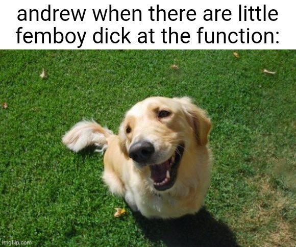Happy Dog | andrew when there are little femboy dick at the function: | image tagged in happy dog | made w/ Imgflip meme maker