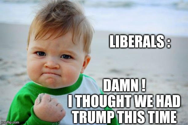 Success Kid Original Meme | LIBERALS : DAMN !
I THOUGHT WE HAD TRUMP THIS TIME | image tagged in memes,success kid original | made w/ Imgflip meme maker