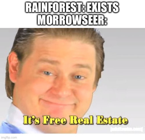 If only most rainwings actually used their magical death spit for defense | RAINFOREST: EXISTS
MORROWSEER: | image tagged in it's free real estate | made w/ Imgflip meme maker