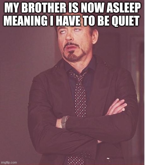 Face You Make Robert Downey Jr Meme | MY BROTHER IS NOW ASLEEP MEANING I HAVE TO BE QUIET | image tagged in memes,face you make robert downey jr | made w/ Imgflip meme maker