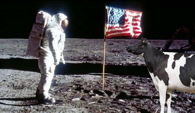 Moon Landing | image tagged in moon landing | made w/ Imgflip meme maker