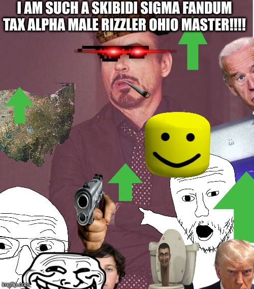 Face You Make Robert Downey Jr | I AM SUCH A SKIBIDI SIGMA FANDUM TAX ALPHA MALE RIZZLER OHIO MASTER!!!! | image tagged in memes,face you make robert downey jr | made w/ Imgflip meme maker