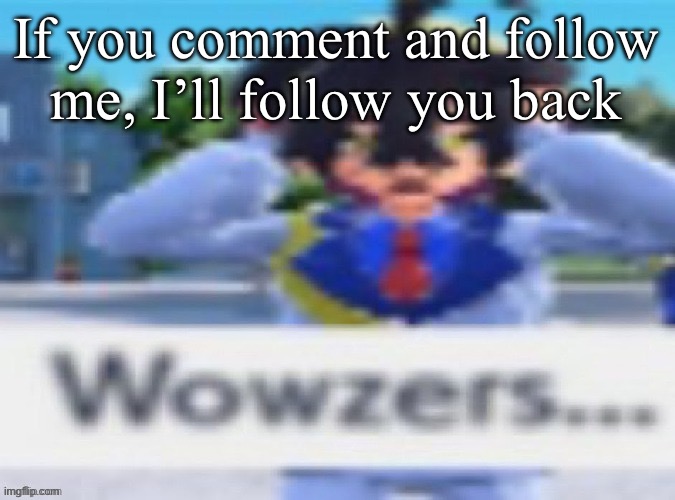 Wowzers | If you comment and follow me, I’ll follow you back | image tagged in oh wow are you actually reading these tags | made w/ Imgflip meme maker